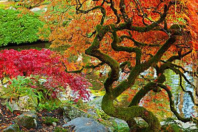 Steam特别好评像素RPG游戏限时免费领取